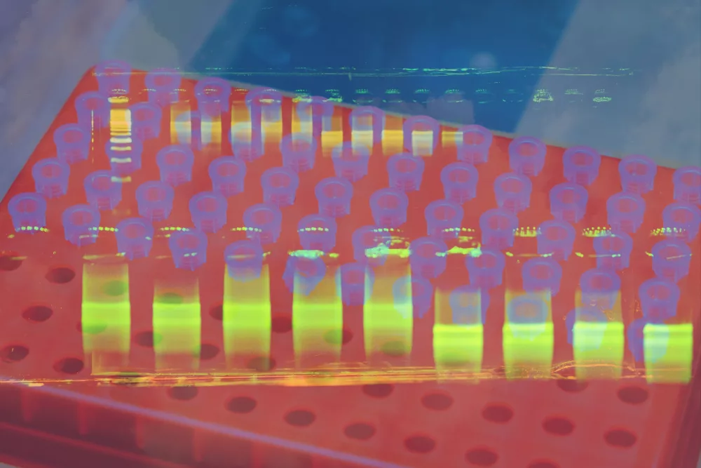 New Report Details the €3t cost of Europe's Anti-Science Stance on New Genomic Techniques