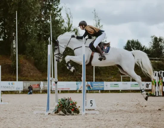 Introducing EquiAI – Your Smart Riding Companion
